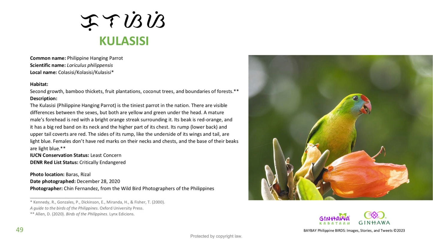 BAYBAY Philippine BIRDS: Images, Stories, and Tweets (Digital Book)