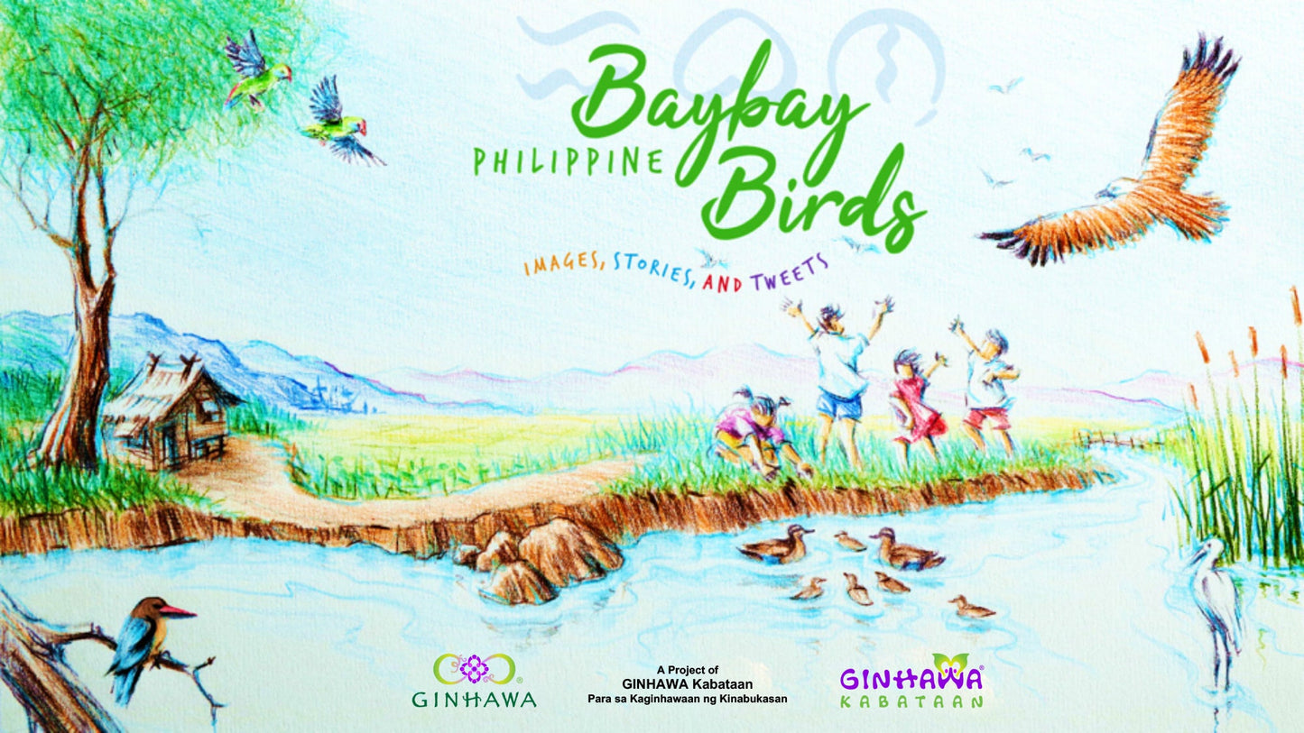 BAYBAY Philippine BIRDS: Images, Stories, and Tweets (Digital Book)