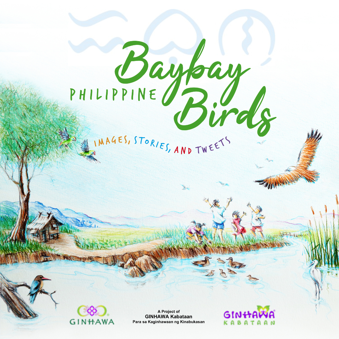 BAYBAY Philippine BIRDS: Images, Stories, and Tweets (Digital Book)